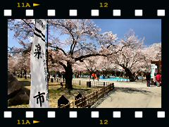 鶴ヶ城公園の画像