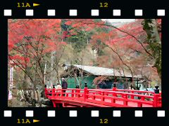 横蔵寺の紅葉の画像