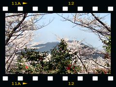 桜山公園・山頂の画像