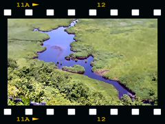 コッタロ湿原展望台の画像