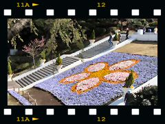向ヶ丘遊園・花の大階段の画像