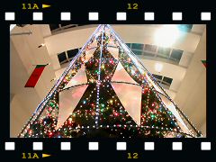 クイーンズスクウェア内クリスマスツリーの画像