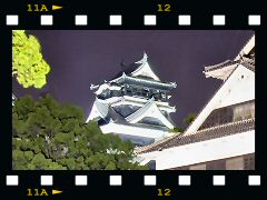 熊本城夜景の画像