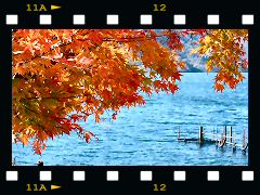 中禅寺湖紅葉の画像