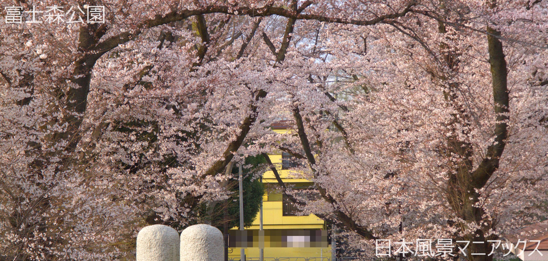 富士森公園－日本風景写真マニアックス