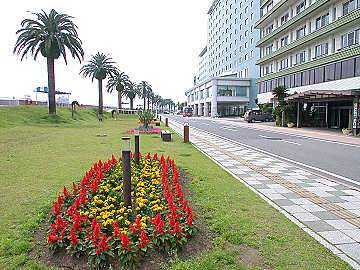 宮崎市橘公園線の画像
