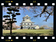 館山城・天守閣の画像