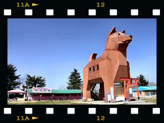 巨大犬と筑波山の画像