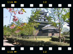 松江城の画像