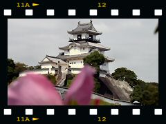掛川城の画像