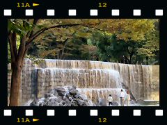 新宿白糸の滝の画像