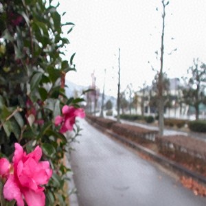 路傍の花